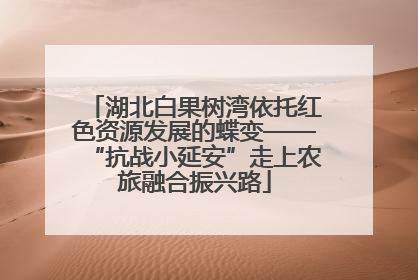 湖北白果树湾依托红色资源发展的蝶变——“抗战小延安”走上农旅融合振兴路